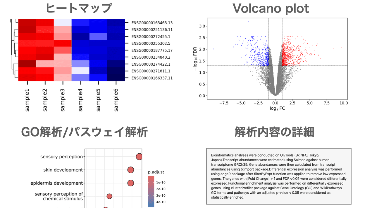 RNA-Seqデータ解析ツール概要