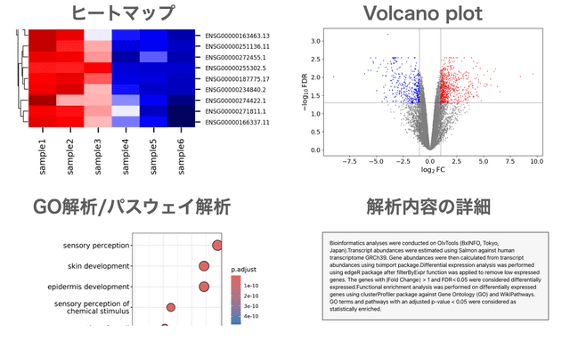 【fastpの使い方】FASTQファイルの前処理