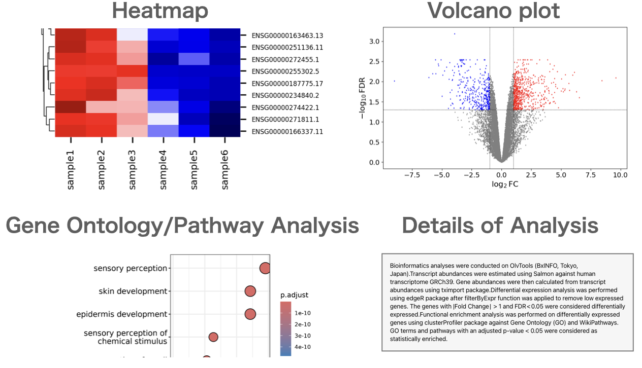 Heatmap in RNA-Seq Analysis