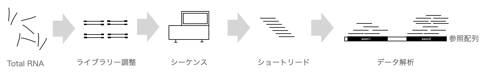 RNA-Seq解析の流れ